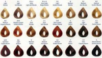 Hair Colour - BY CATEGORY -permenant/semi/peroxide/bleach
