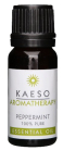 Kaeso Peppermint 10ml Kaeso Peppermint 10ml